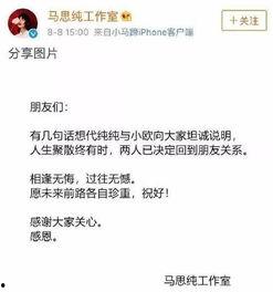 娱乐圈最新爆料文案短句,揭秘明星背后的秘密与真相  第2张